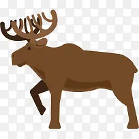 动物-空若网 动物-空若网