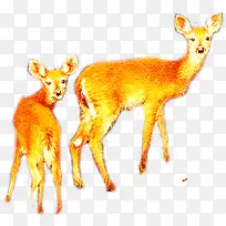 ��ɫ�ɰ��а�С¹-������