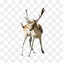 ��Ʒʵ��¹-������