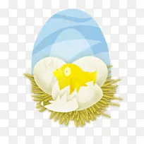 材料喙生物-马沙拉-空若网 材料喙生物-马沙拉-空若网