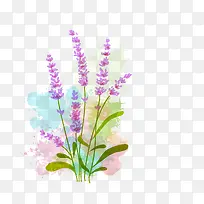 ޹�²�װ�α���ʸ��ͼ-������