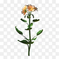 可爱橙色小花绿叶-空若网 可爱橙色小花绿叶-空若网