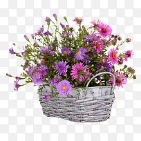 种满花的白色花蓝-空若网 种满花的白色花蓝-空若网