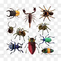 卡通昆虫-空若网 卡通昆虫-空若网