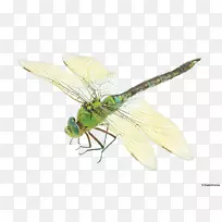 �������ѷ�װ������-������