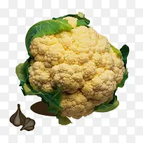 ����ʳ�Ļ���-������