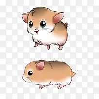 �ɰ�����-������