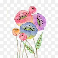 ��ʻ���-������