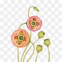 多彩花朵-空若网 多彩花朵-空若网