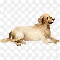 �ɰ��ֻ�С�����-������