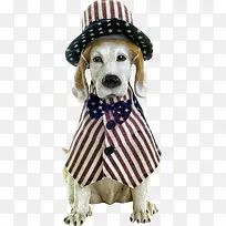 漫画可爱小狗海报-空若网 漫画可爱小狗海报-空若网