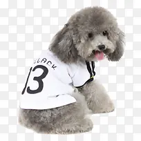 ��Ӱ�ɰ���̩��С��-������