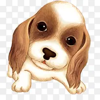 �ɰ�С����ͨ����-������