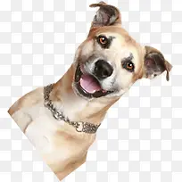 С������ɰ��Ĺ���-������