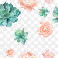 ����Ψ��ˮ�ʻ���-������