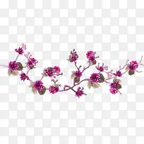 花朵-空若网 花朵-空若网