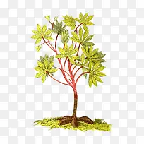 茁壮成长小树-空若网 茁壮成长小树-空若网