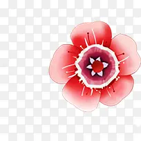 �ֻ濨ͨʱ�к�������-������