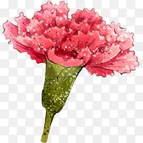 卡通手绘康乃馨花朵-空若网 卡通手绘康乃馨花朵-空若网