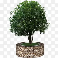 ����Բ������-������