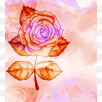 �ɰ���Ч��ʻ�AIװ�����-������