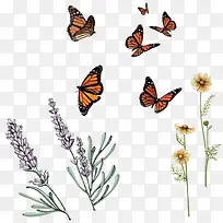 ������޹�²��ز�-������