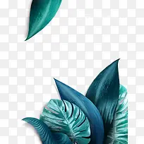 水彩夏天叶子-空若网 水彩夏天叶子-空若网