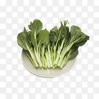 蔬菜大叶青菜类-空若网 蔬菜大叶青菜类-空若网