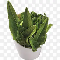 �����������߲�-������