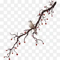 ��֦����֦����-������