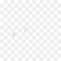 ë��ī����ɫ-������