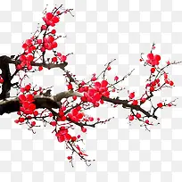 ÷����֦װ��Ԫ��-������