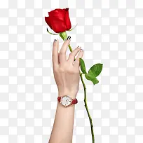 ������õ�廨���-������