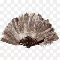 ��ͨ������ë�񶯻�-����-������