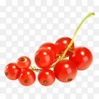 健康 绿色 水果 沙棘-空若网 健康 绿色 水果 沙棘-空若网