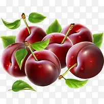 健康 绿色 水果 李子-空若网 健康 绿色 水果 李子-空若网