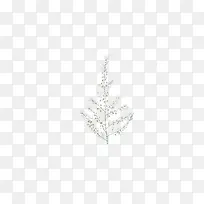 浅色分叉树枝-空若网 浅色分叉树枝-空若网