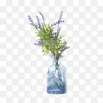 ÇåРÎÄÒÕ Þ¹ÒÂ²Ý Ö²Îï-¿ÕÈôÍø ÇåРÎÄÒÕ Þ¹ÒÂ²Ý Ö²Îï-¿ÕÈôÍø