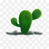 手绘插画绿色仙人掌-空若网 手绘插画绿色仙人掌-空若网