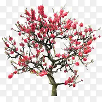 ÷����PNG-������