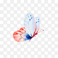 ���µĻ�����-������