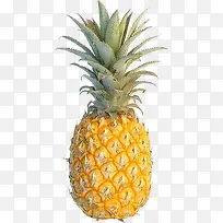 免扣水果菠萝-空若网 免扣水果菠萝-空若网