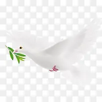 ���� ��ͨ  �廭 �ز�1-������