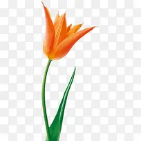 ���� ֲ��  �廭 �ز�4-������