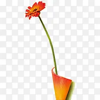 花朵 植物 插画 素材1-空若网 花朵 植物 插画 素材1-空若网