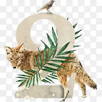 动植物英文字数字2-空若网 动植物英文字数字2-空若网