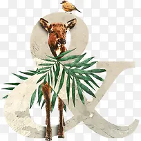 动植物英文字数字&-空若网 动植物英文字数字&-空若网