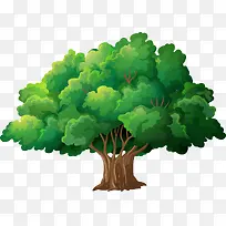 ��ͨ�ֻ�ֲ����-������