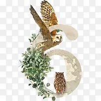 动植物英文字数字6-空若网 动植物英文字数字6-空若网