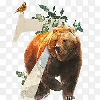 ��ֲ��Ӣ��������7-������